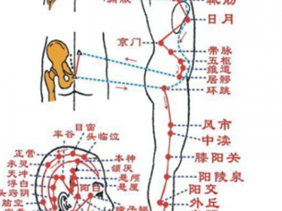经络让人体智慧看得见摸得着